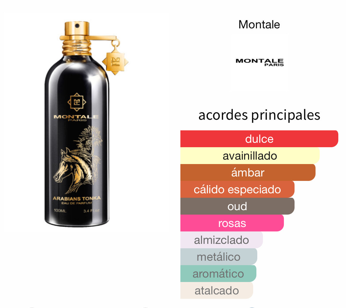 Arabians Tonka Montale