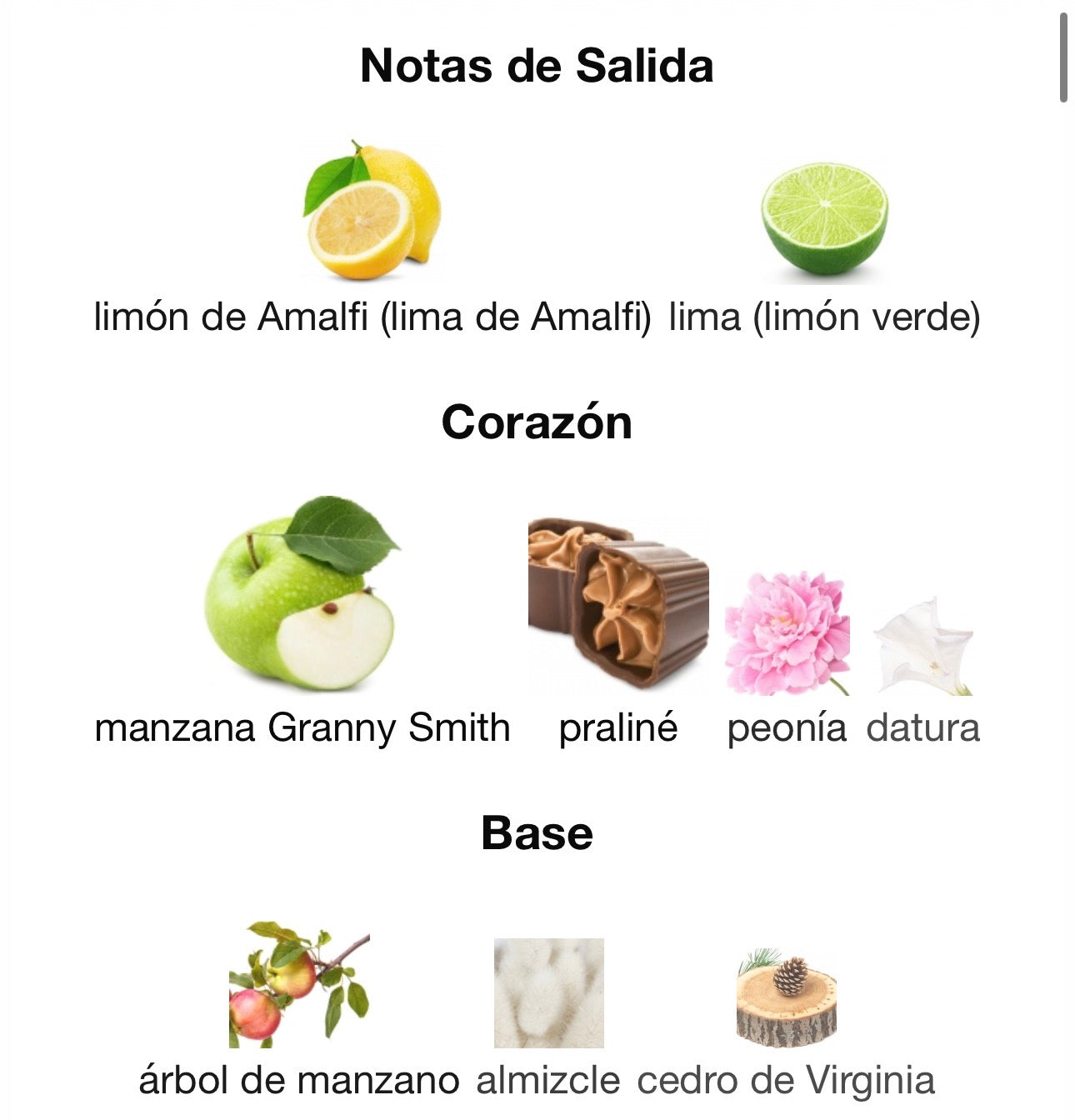 Nina Ricci