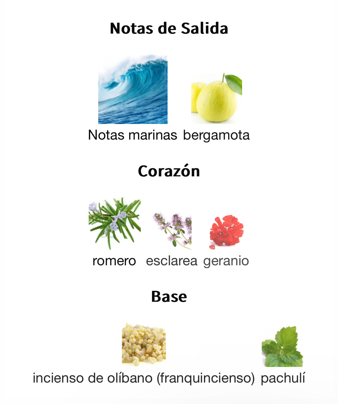 Acqua Di Gio Parfum