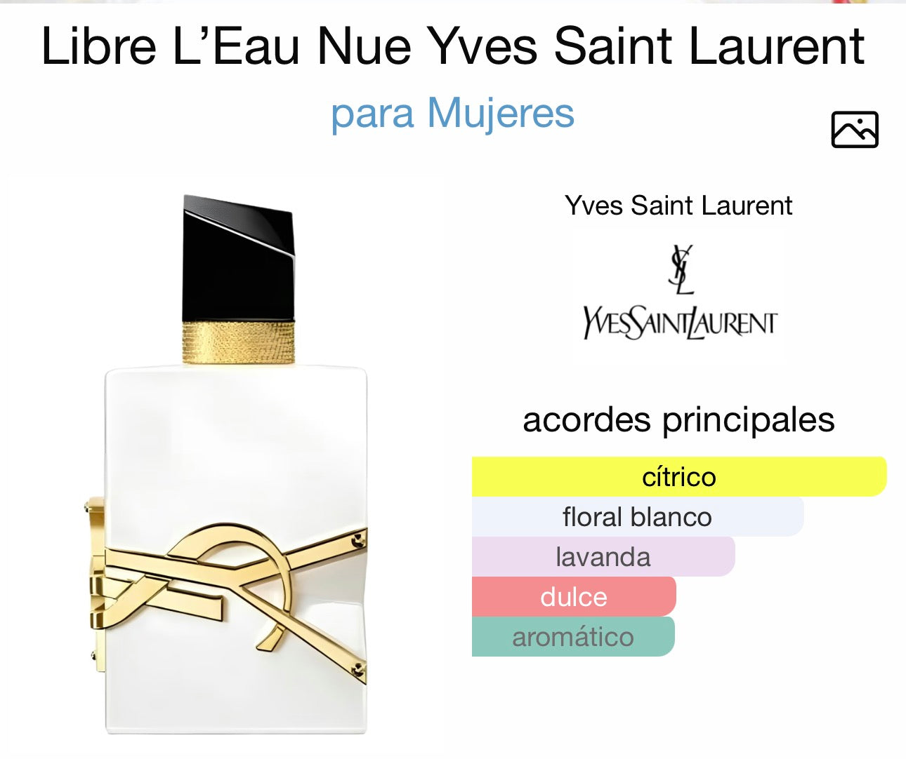 Libre L’Eau Nue Yves Saint Laurent