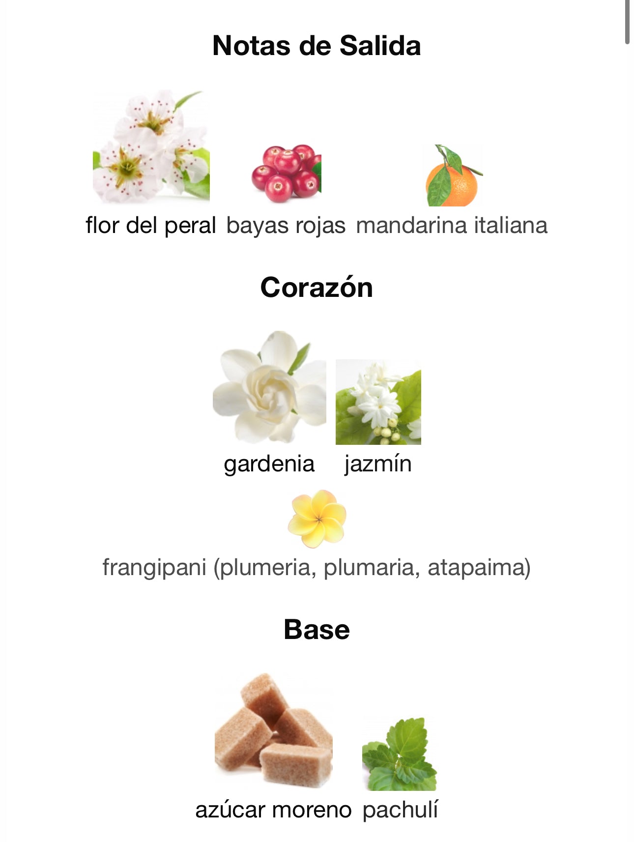 Flora Gorgeous Gardenia Gucci