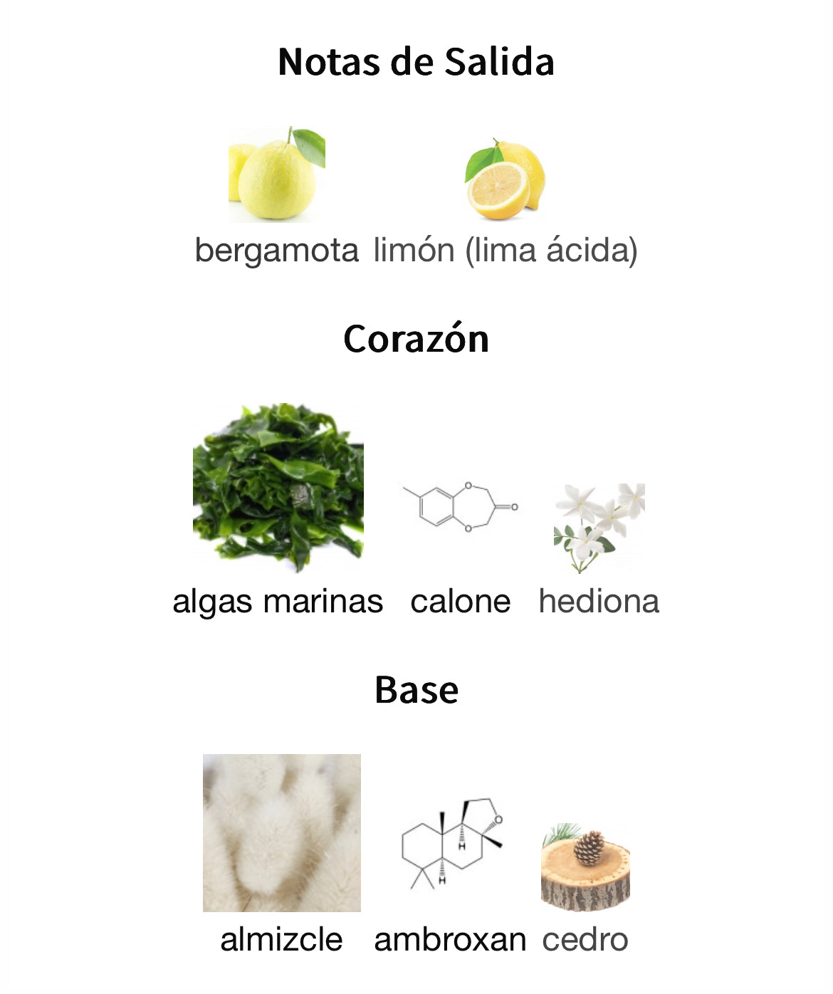 Megamare Orto Parisi