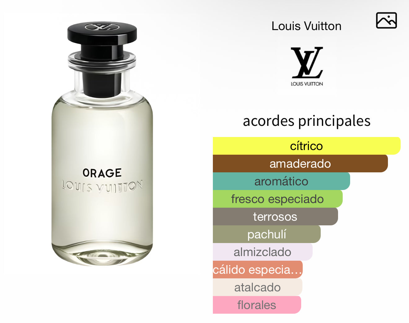 Louis Vuitton Orage
