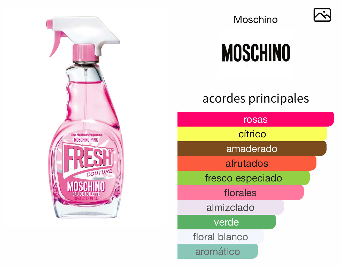 Pink Fresh Couture Moschino