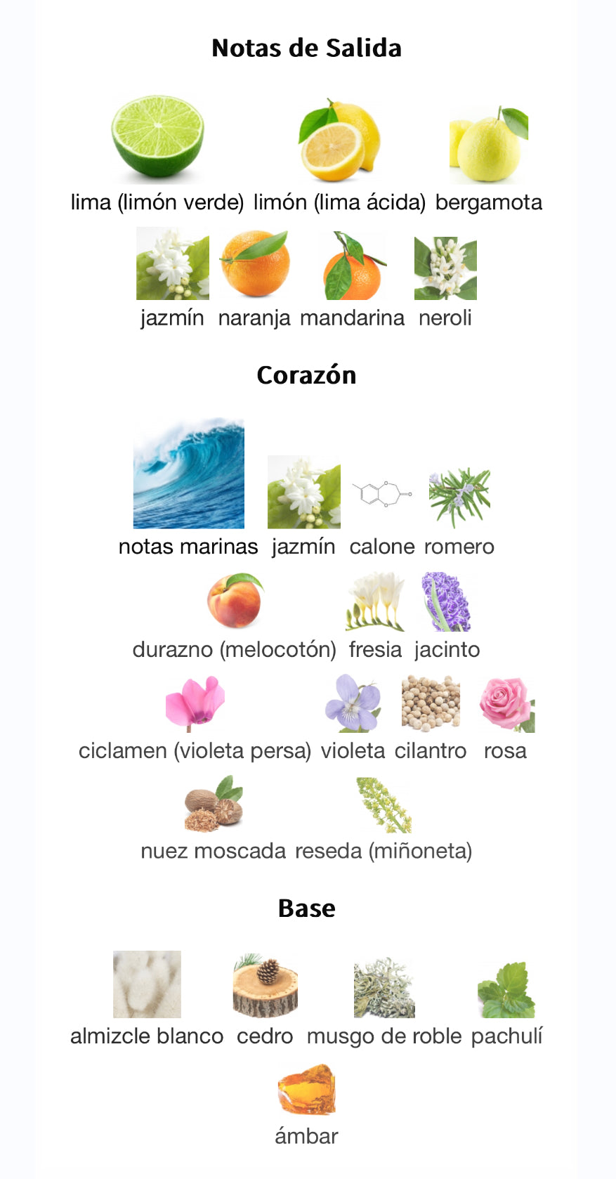 Acqua Di Gio Armani