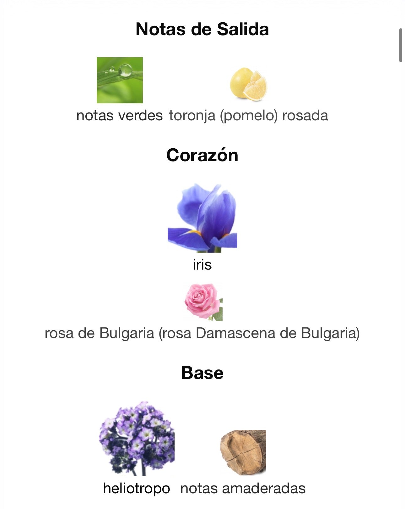 Omnia Amethyste Bvlgari