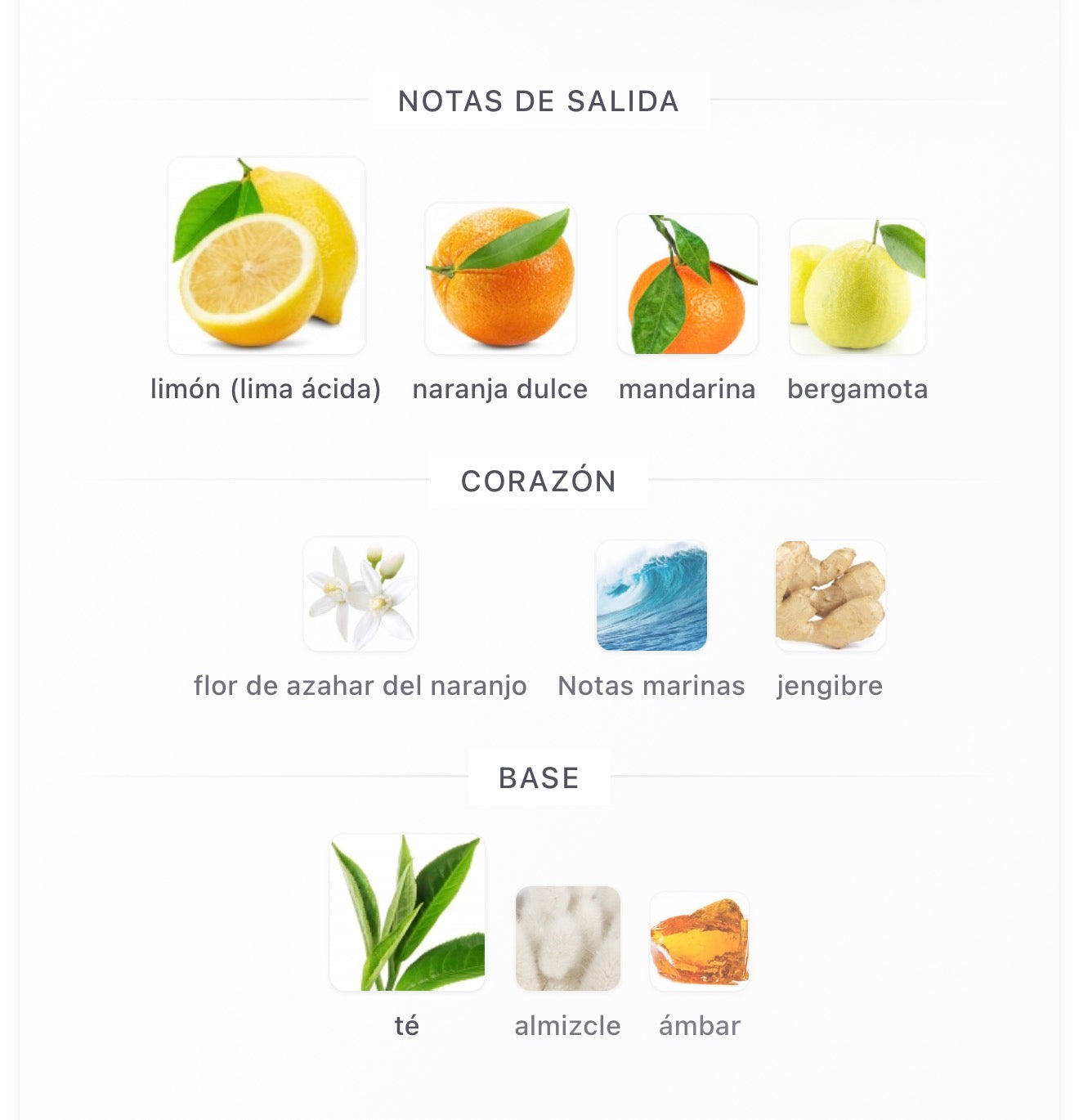 Odyssey Limoni Armaf