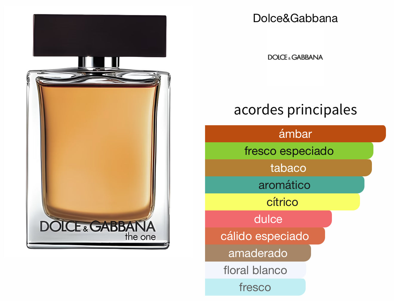 The One Dolce Gabbana