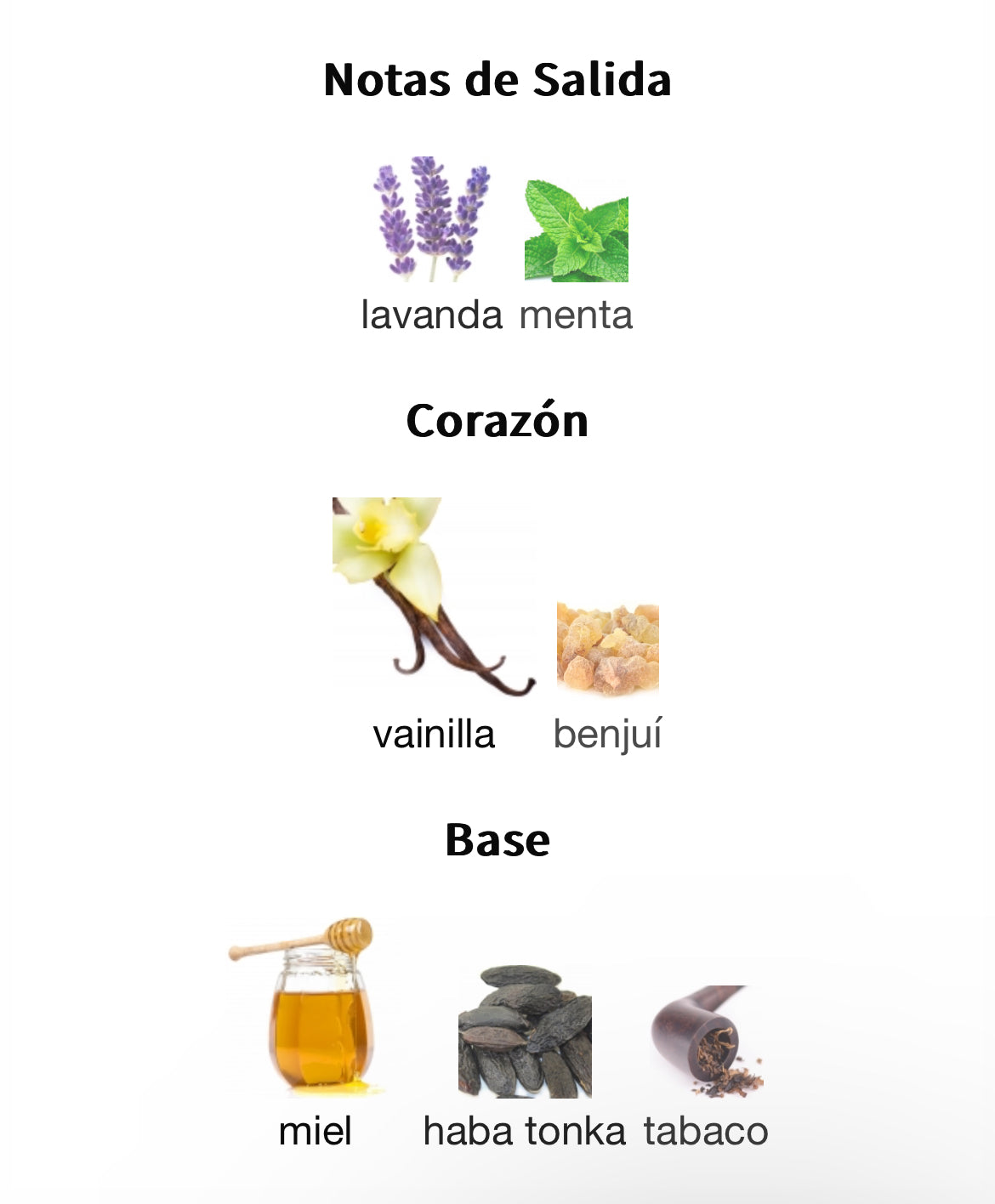 Le Male Elixir Jean Paul Gaultier