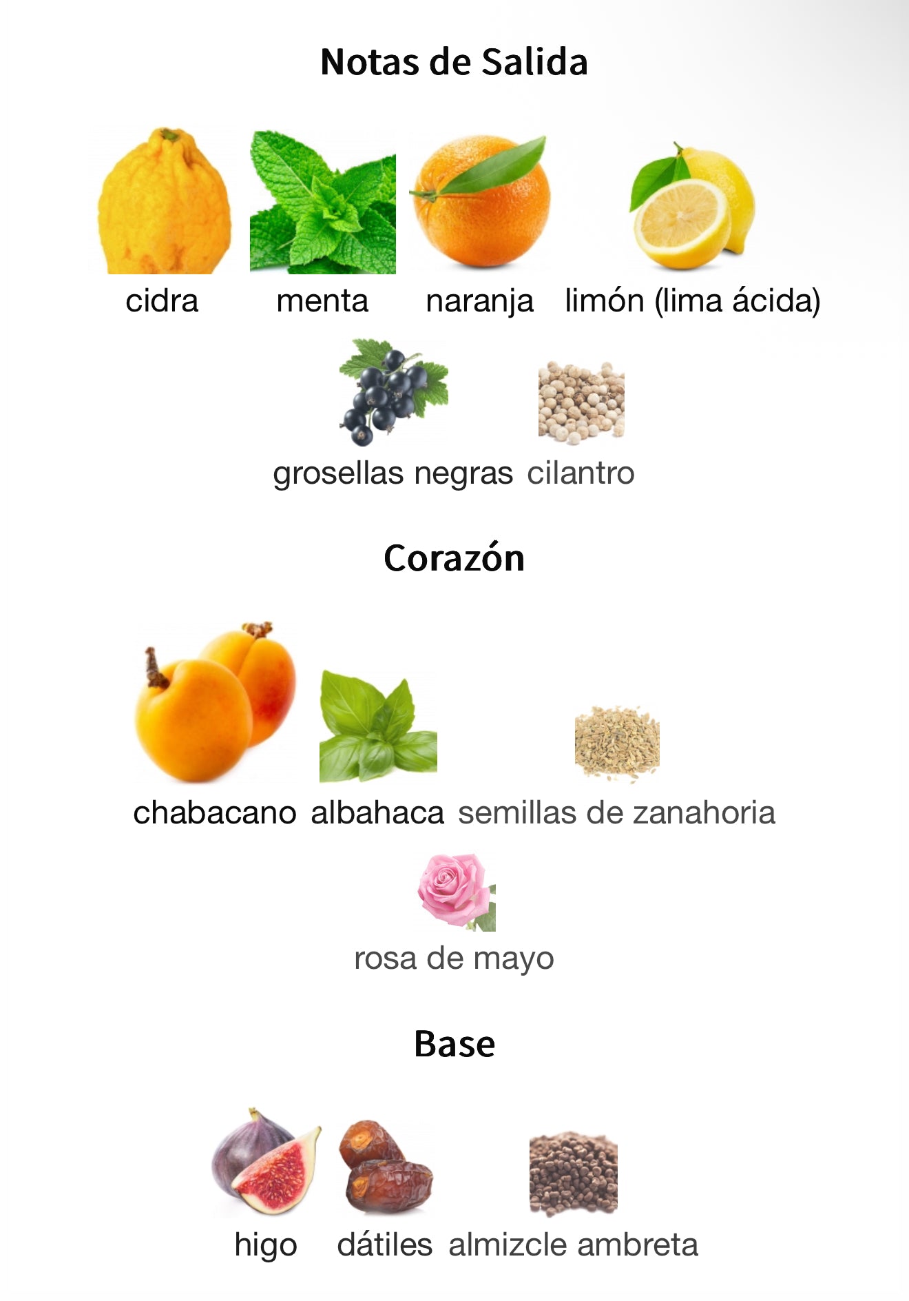 Pacific Chill Louis Vuitton