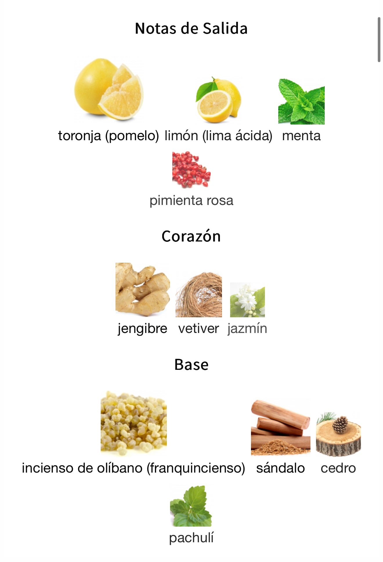 Amber Oud Bleu Edition