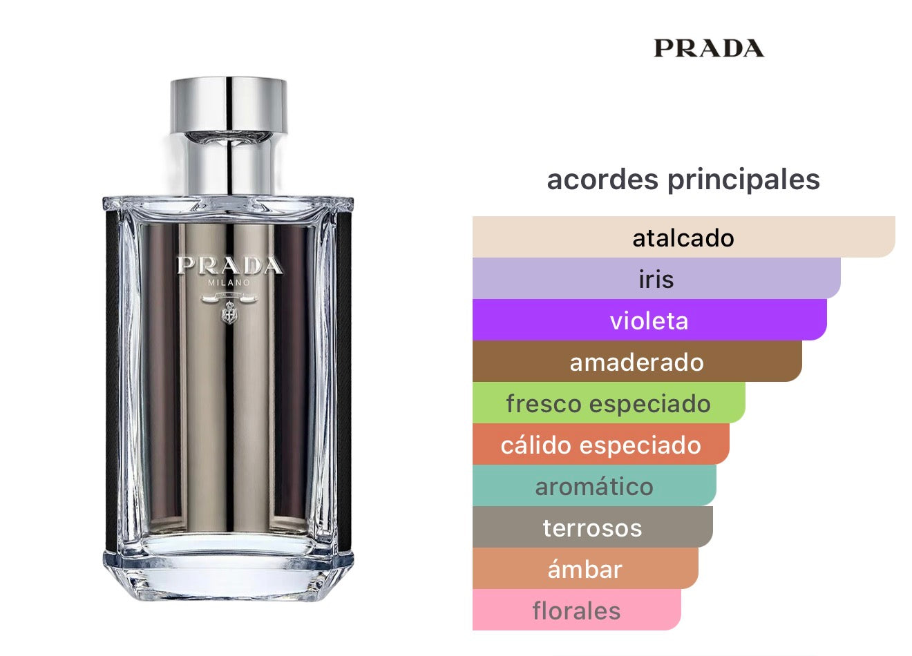 Prada L'Homme