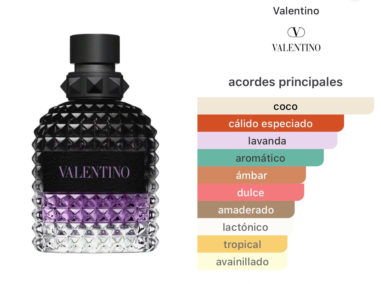 Born in Roma Purple Melancholia Valentino