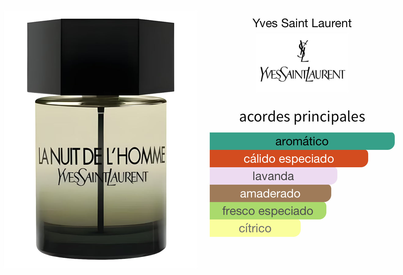 La Nuit de l'Homme YSL