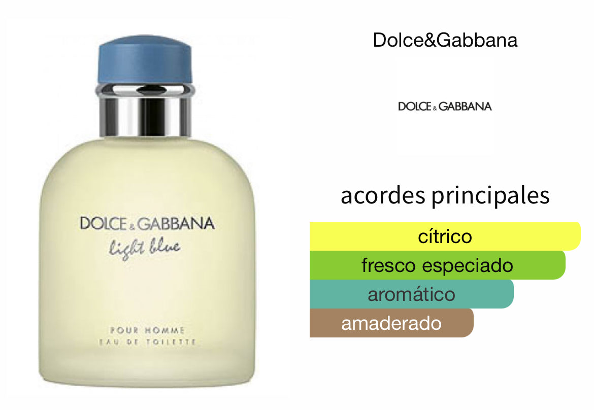 Light Blue Dolce Gabbana