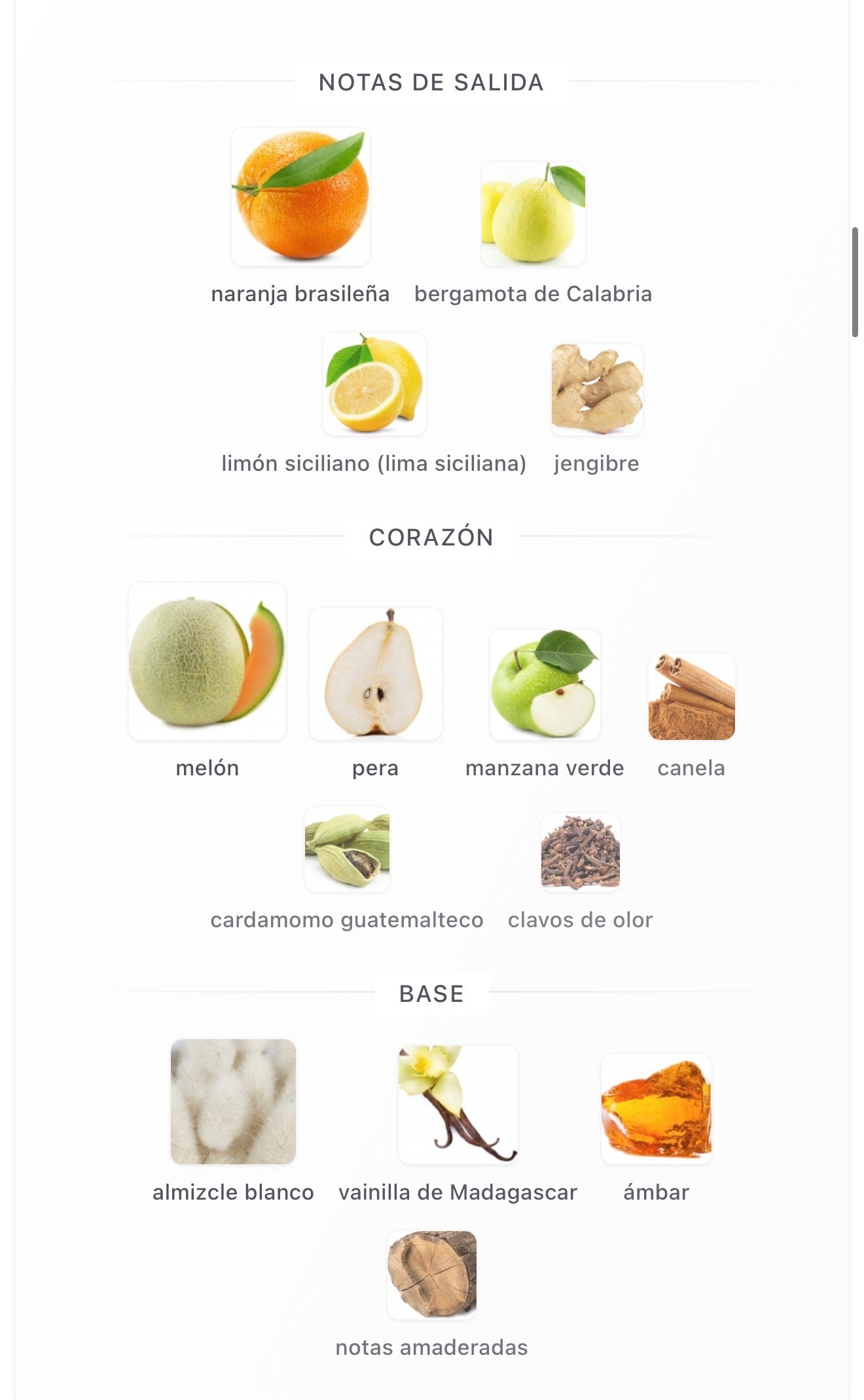 Erba Gold Xerjoff