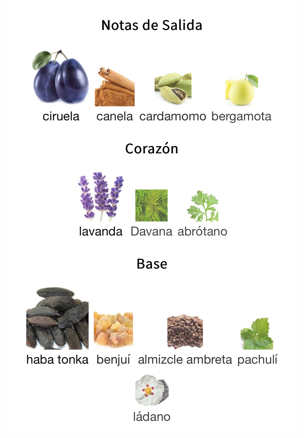 Le Male Elixir Absolu Jean Paul Gaultier