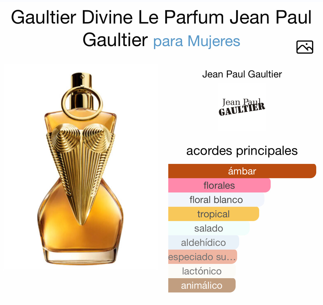 Divine Parfum Jean Paul Gaultier